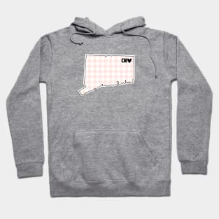 USA States: Connecticut (pink plaid) Hoodie